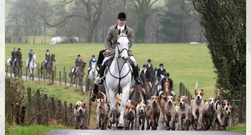 Anti-hunting groups ecstatic over new Scottish law banning use of dogs in hunts